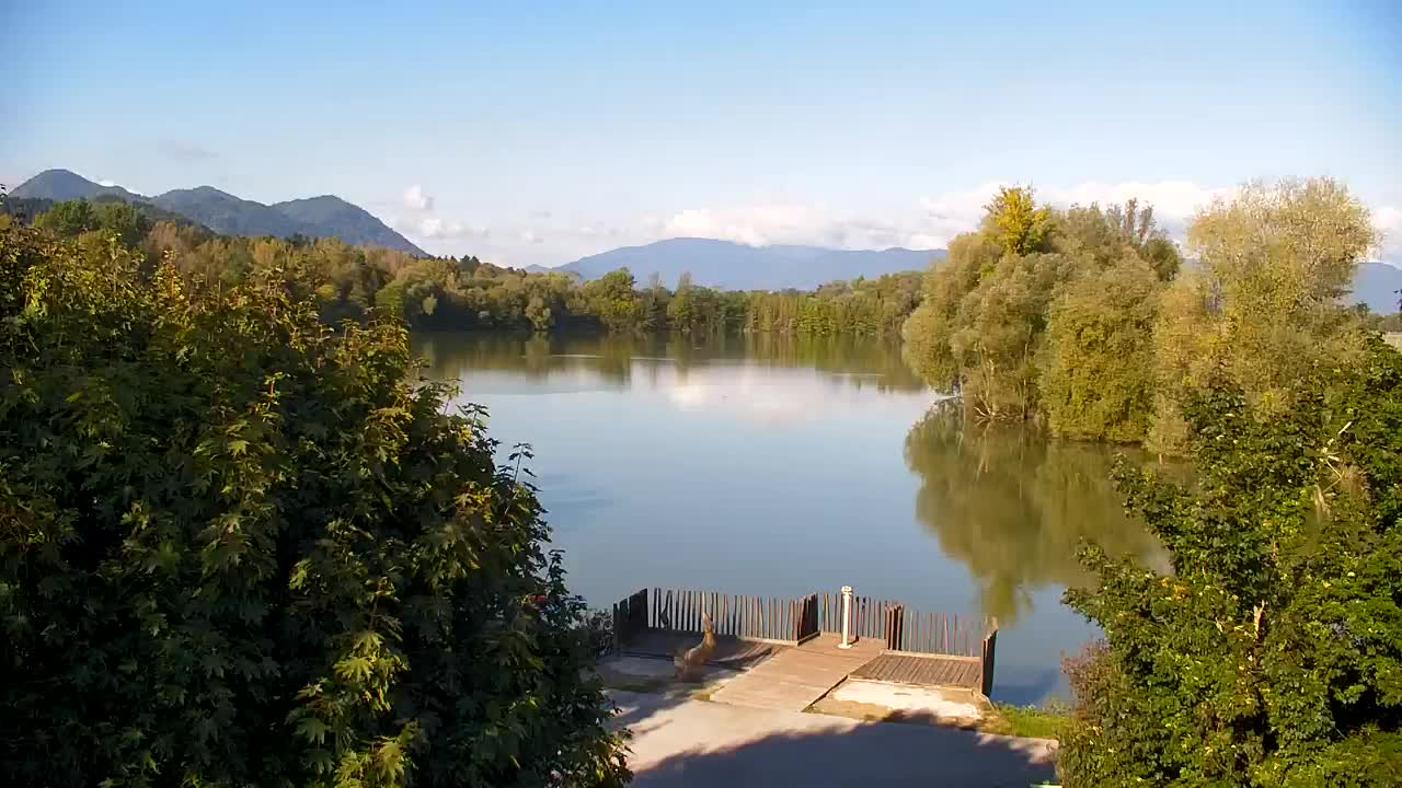 Webcam Ribnik Vrbje – Žalec