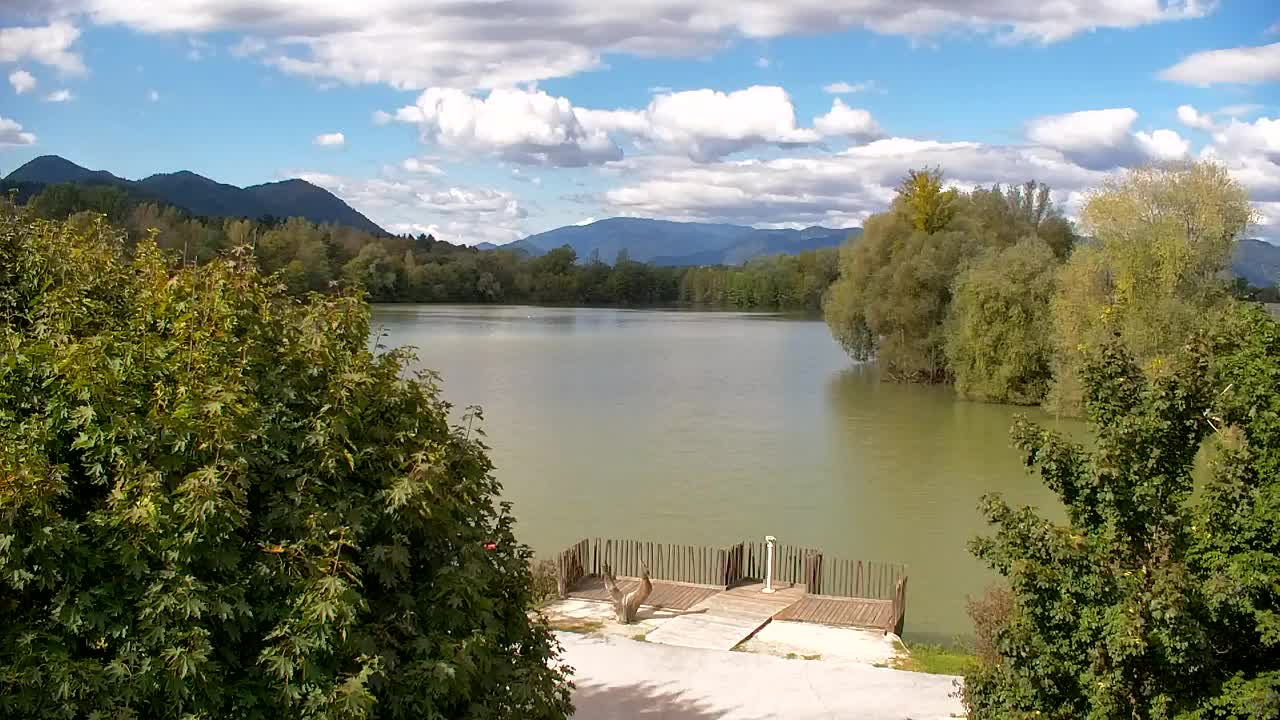 Webcam Ribnik Vrbje – Žalec