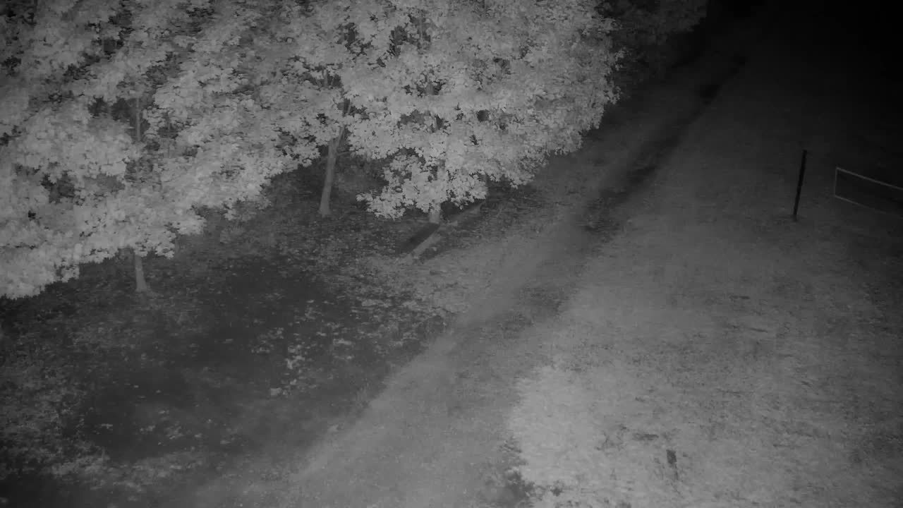 Webcam Ribnik Vrbje – Žalec