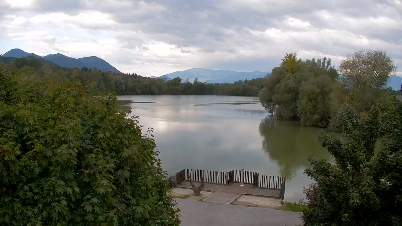 Spletna kamera Ribnik Vrbje – Žalec