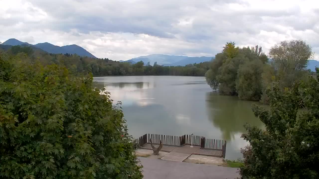 Spletna kamera Ribnik Vrbje – Žalec