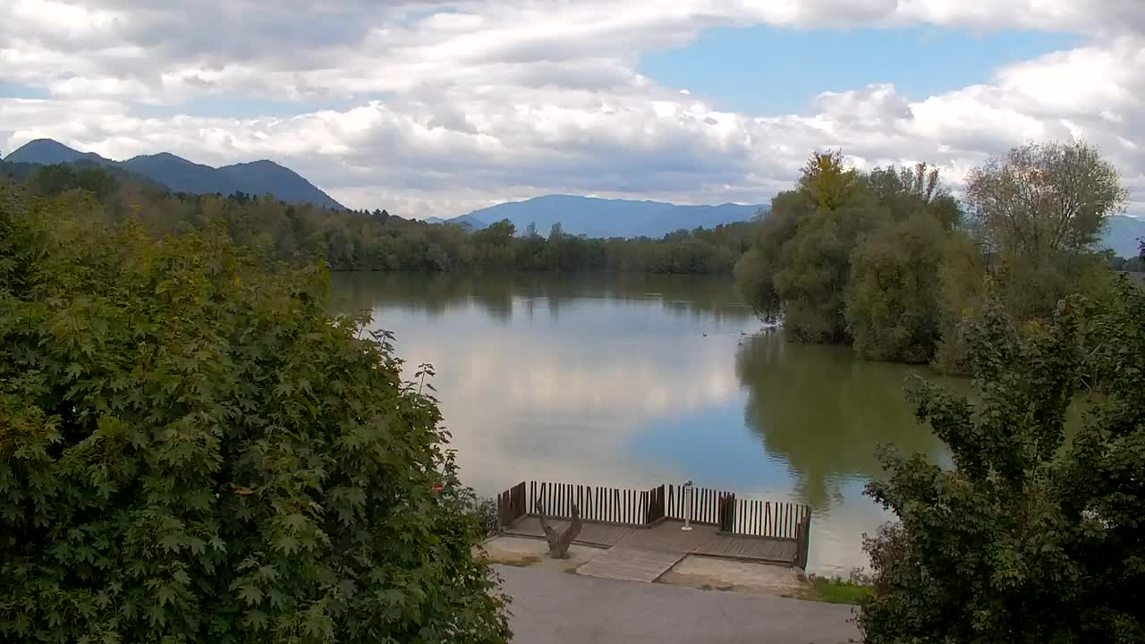 Spletna kamera Ribnik Vrbje – Žalec