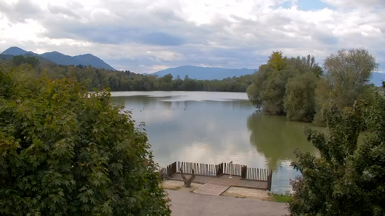 Spletna kamera Ribnik Vrbje – Žalec
