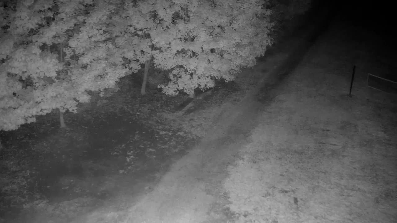 Webcam Ribnik Vrbje – Žalec