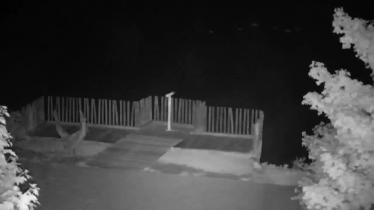 Webcam Ribnik Vrbje – Žalec