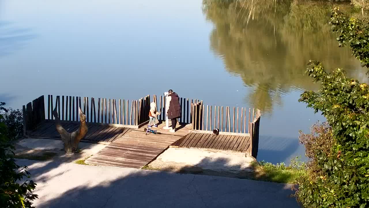 Webcam Ribnik Vrbje – Žalec