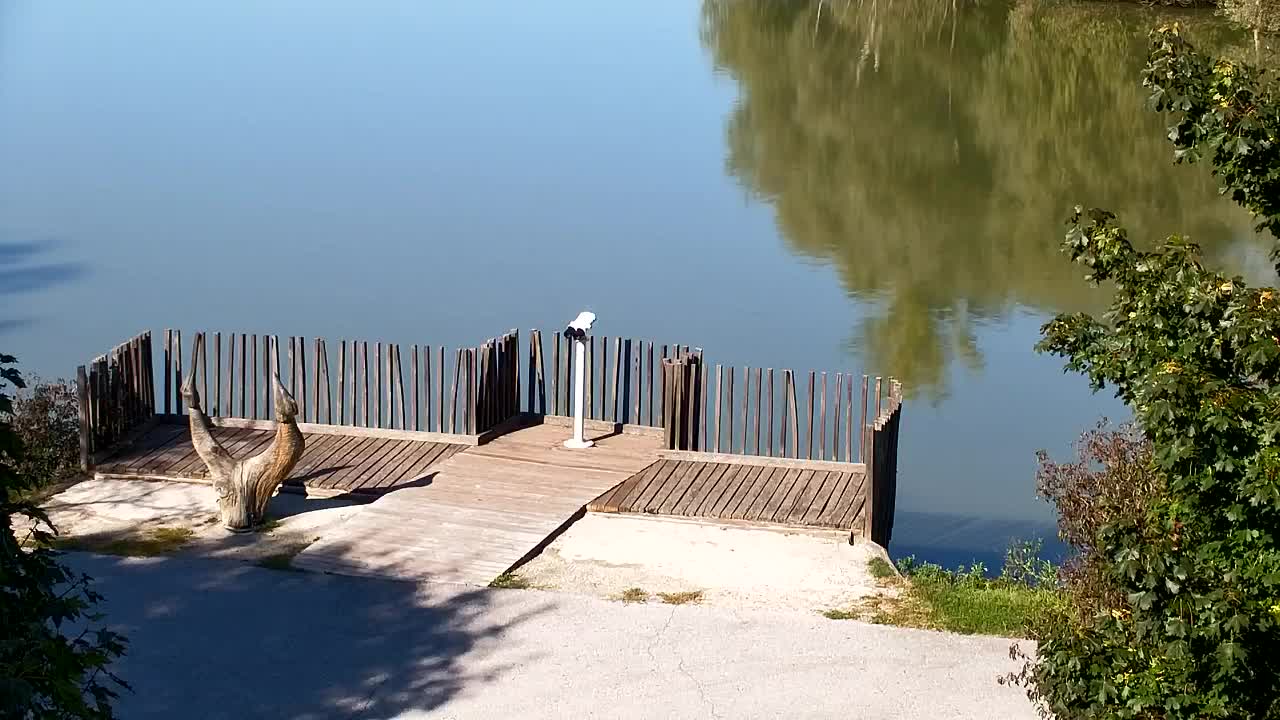 Webcam Ribnik Vrbje – Žalec