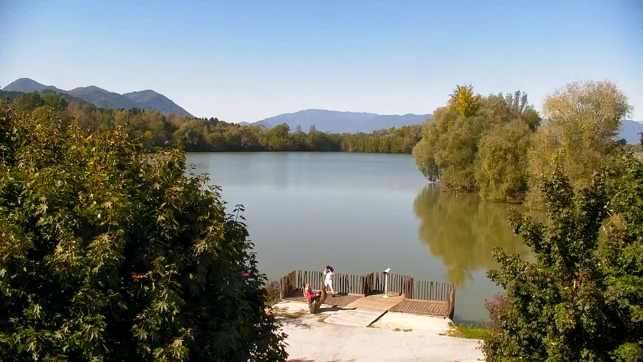 Web kamera Ribnik Vrbje – Žalec