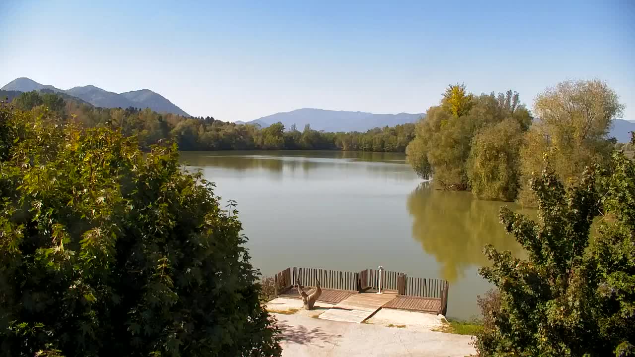 Webcam Ribnik Vrbje – Žalec