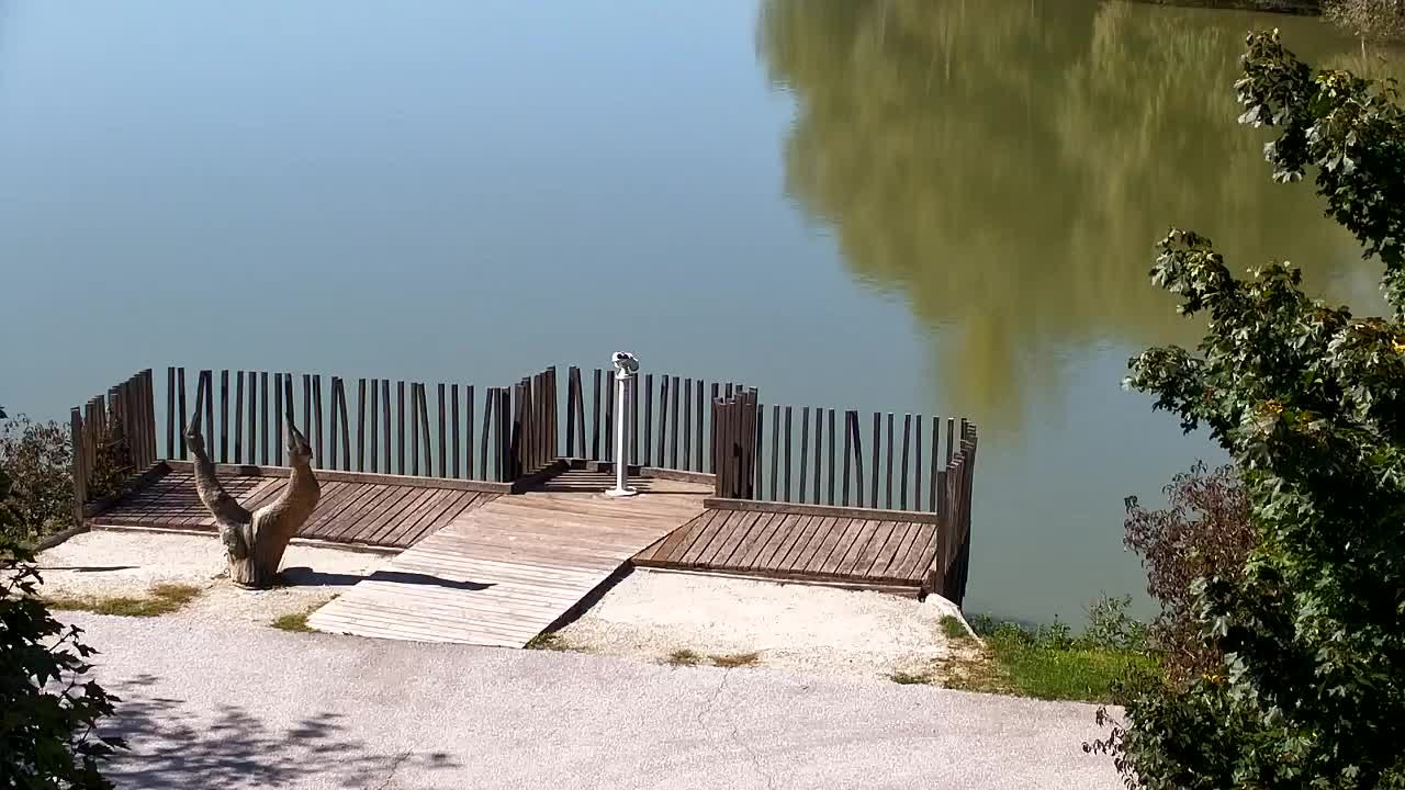 Web kamera Ribnik Vrbje – Žalec