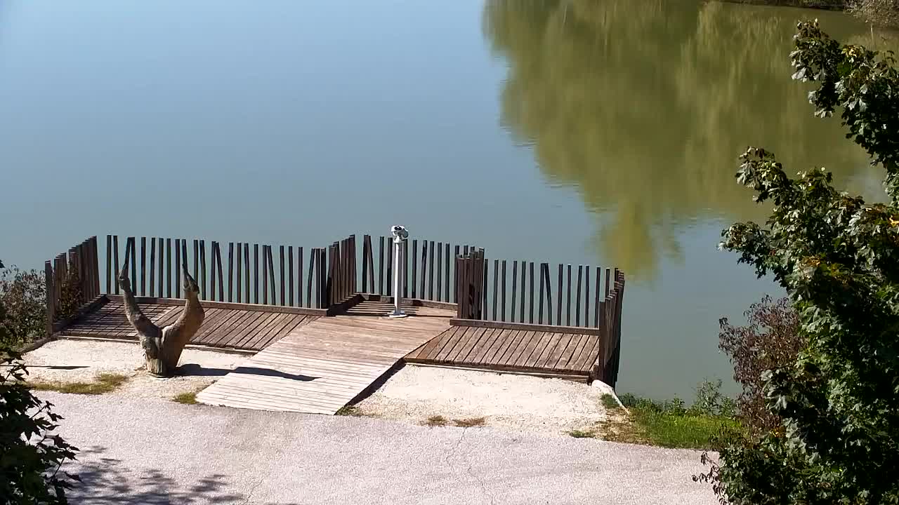 Webcam Ribnik Vrbje – Žalec