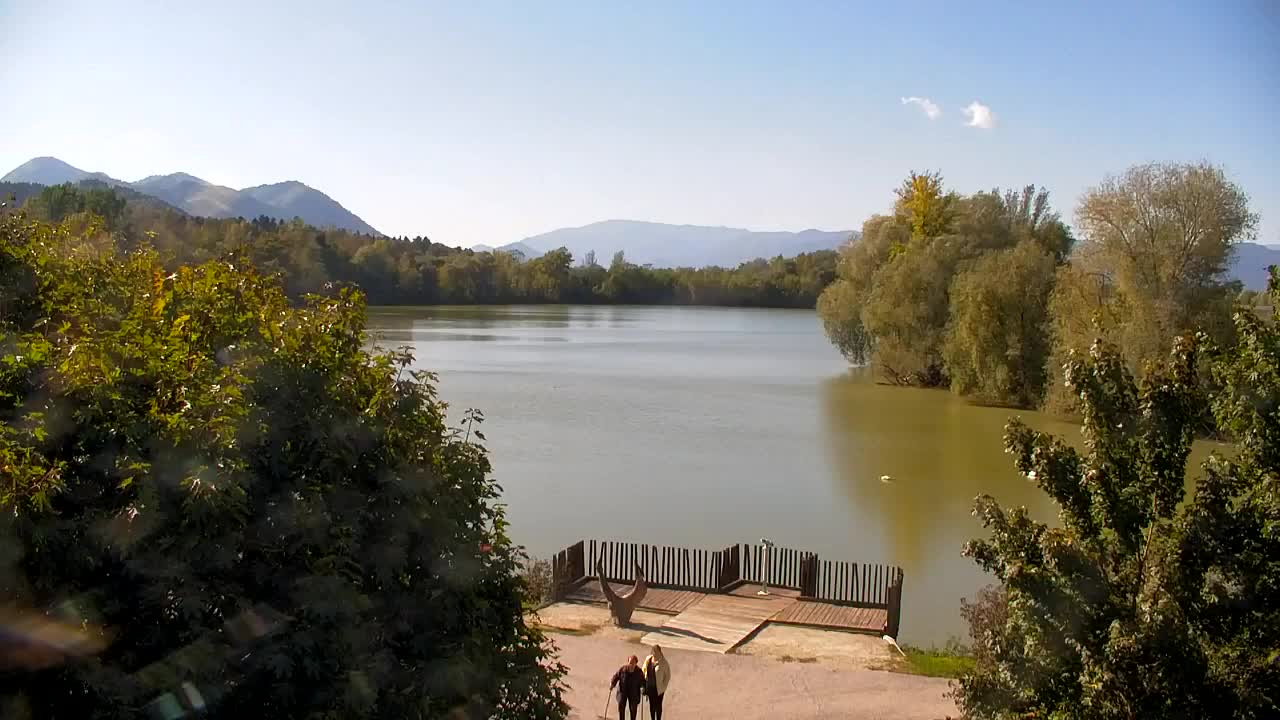 Spletna kamera Ribnik Vrbje – Žalec