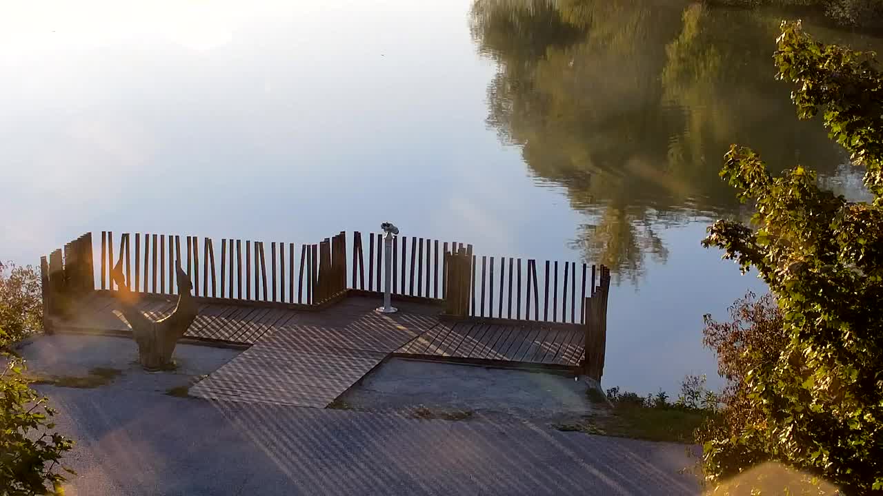 Web kamera Ribnik Vrbje – Žalec