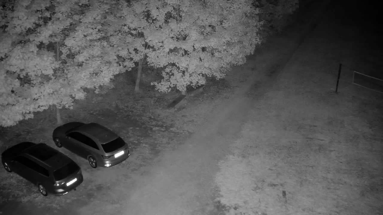 Web kamera Ribnik Vrbje – Žalec