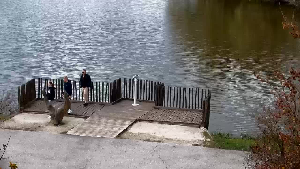 Webcam Ribnik Vrbje – Žalec