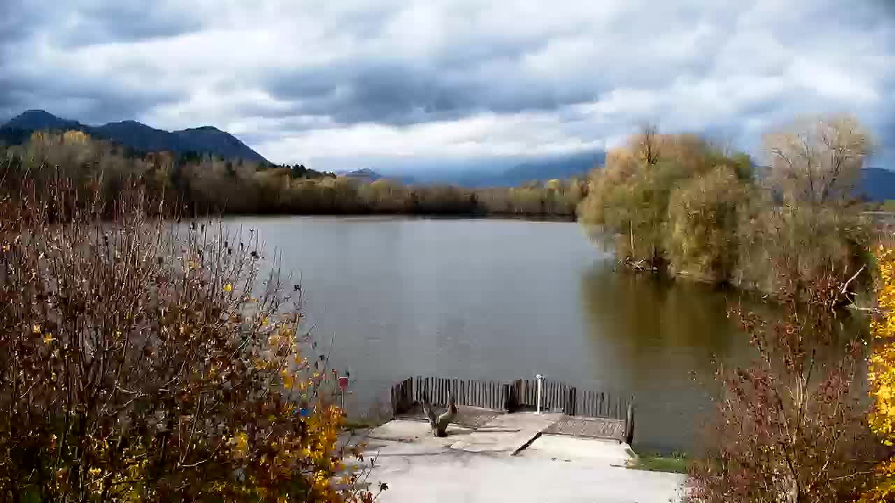 Spletna kamera Ribnik Vrbje – Žalec