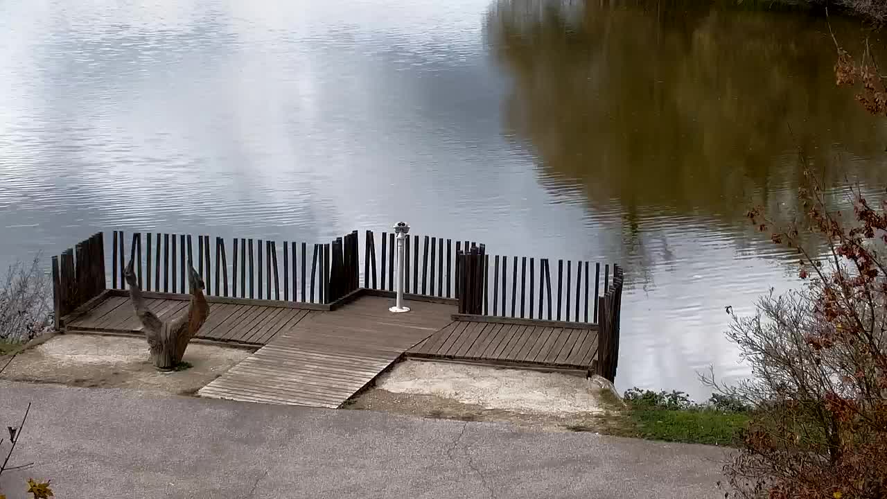 Web kamera Ribnik Vrbje – Žalec