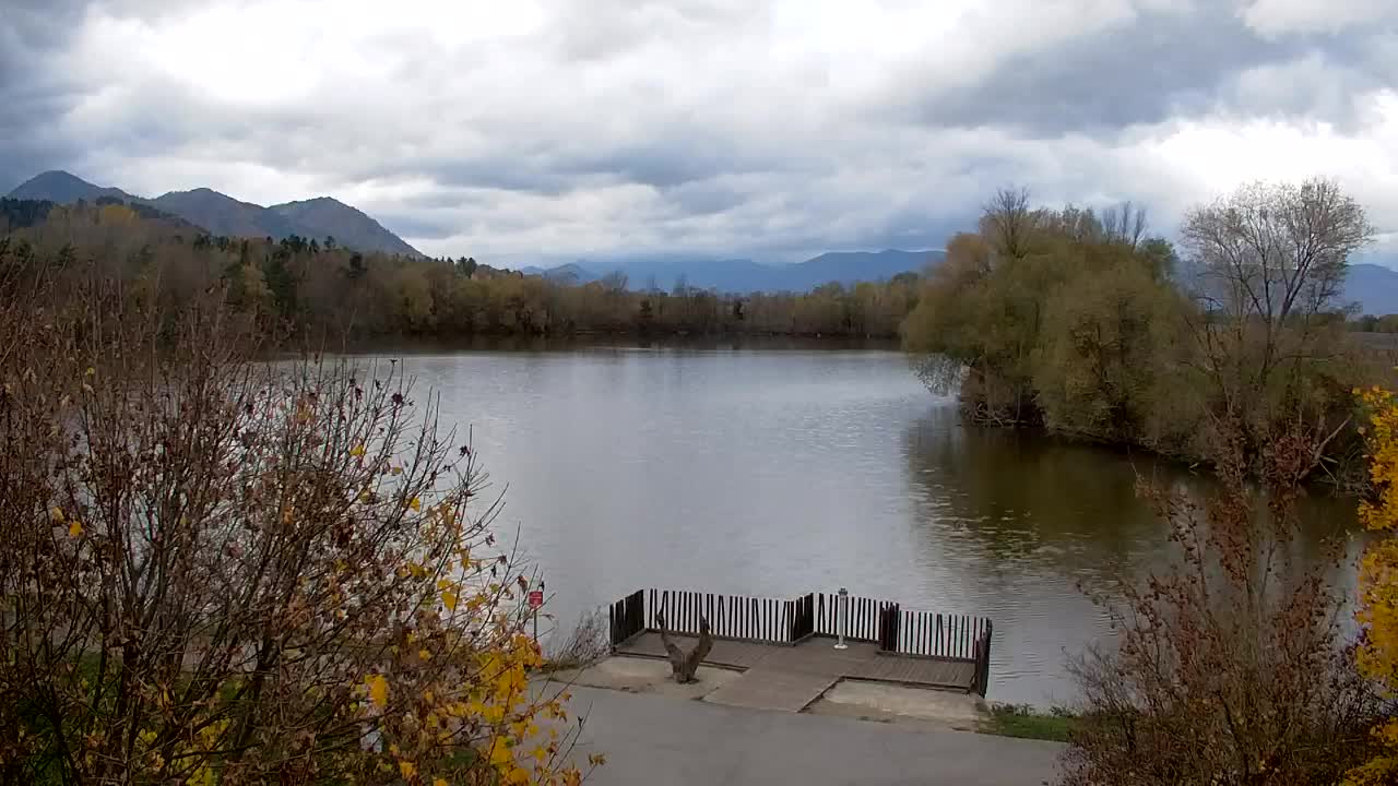 Spletna kamera Ribnik Vrbje – Žalec