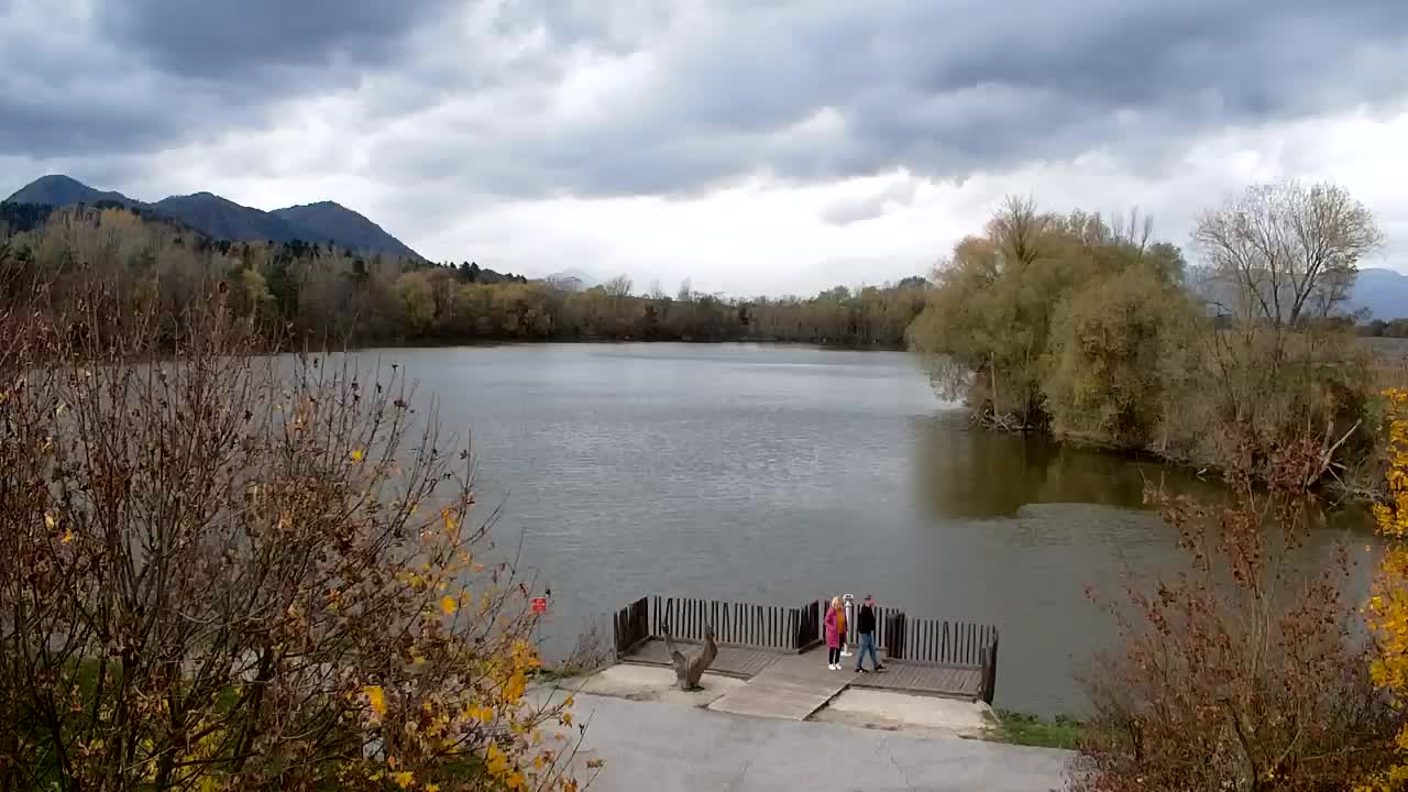 Webcam Ribnik Vrbje – Žalec