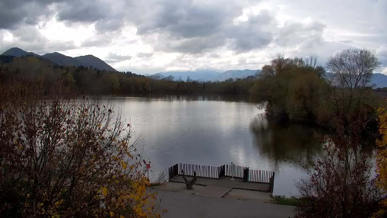 Spletna kamera Ribnik Vrbje – Žalec