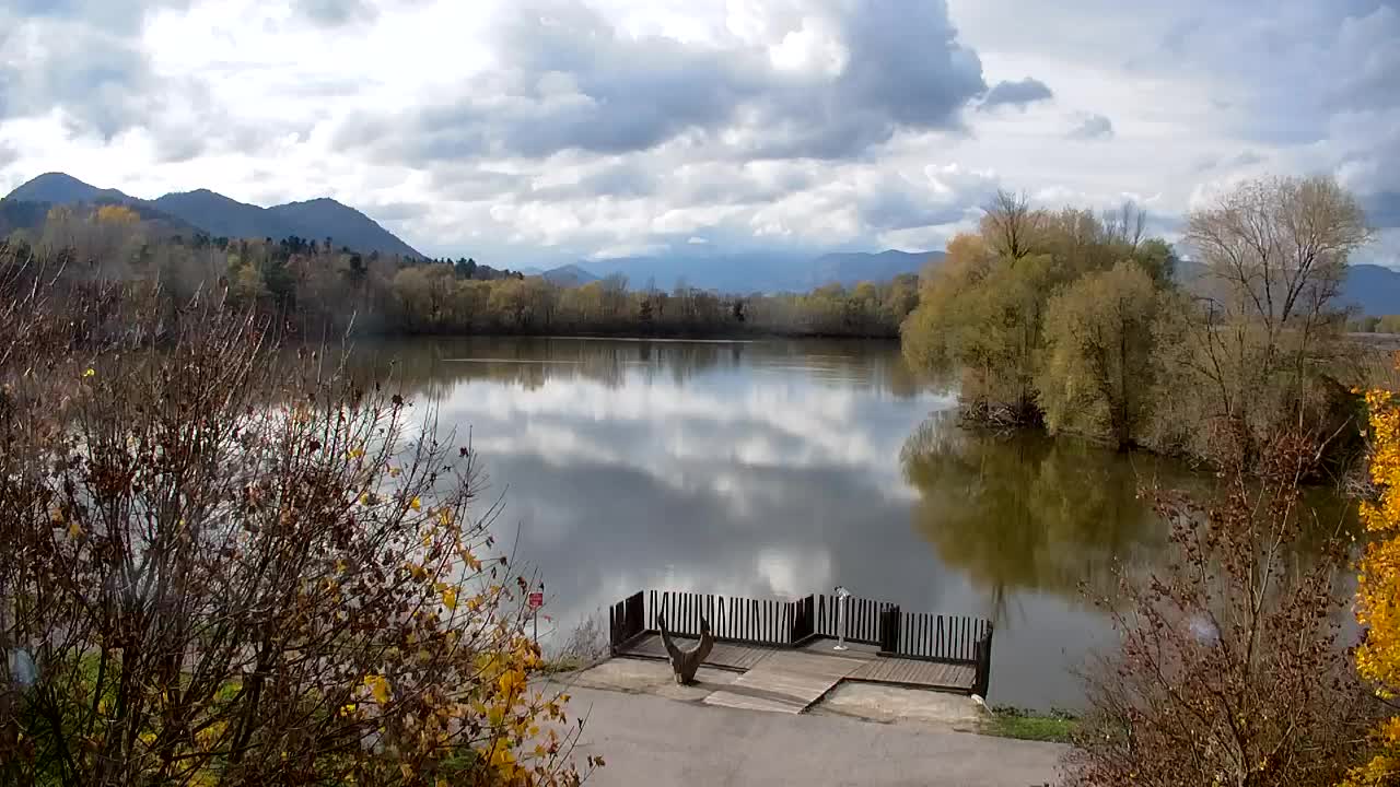 Webcam Ribnik Vrbje – Žalec