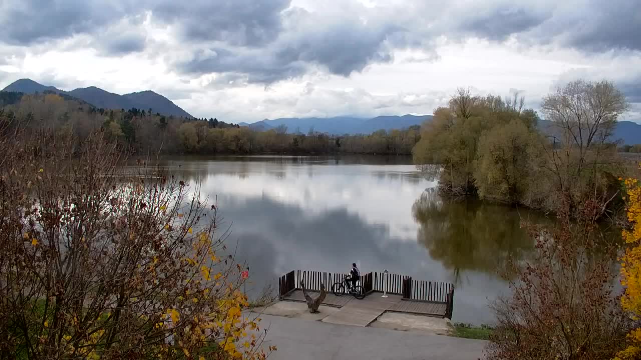 Webcam Ribnik Vrbje – Žalec