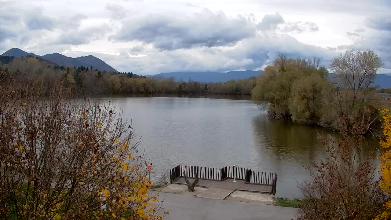 Webcam Ribnik Vrbje – Žalec