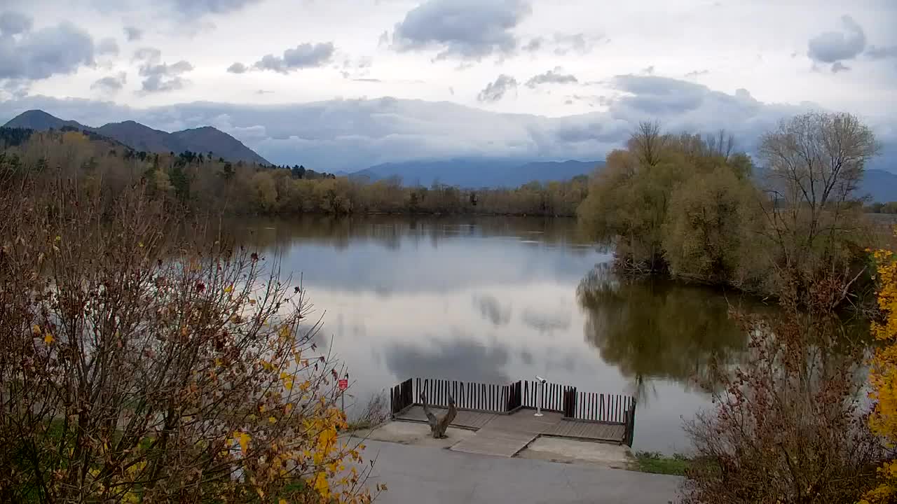 Webcam Ribnik Vrbje – Žalec