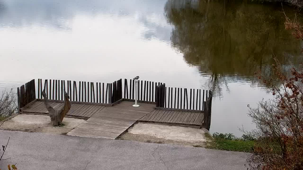 Webcam Ribnik Vrbje – Žalec