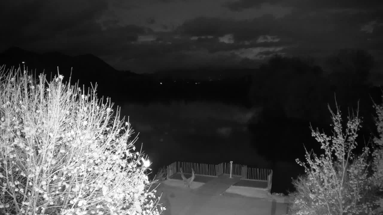 Web kamera Ribnik Vrbje – Žalec