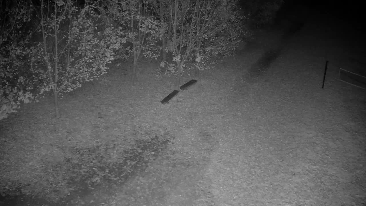 Webcam Ribnik Vrbje – Žalec