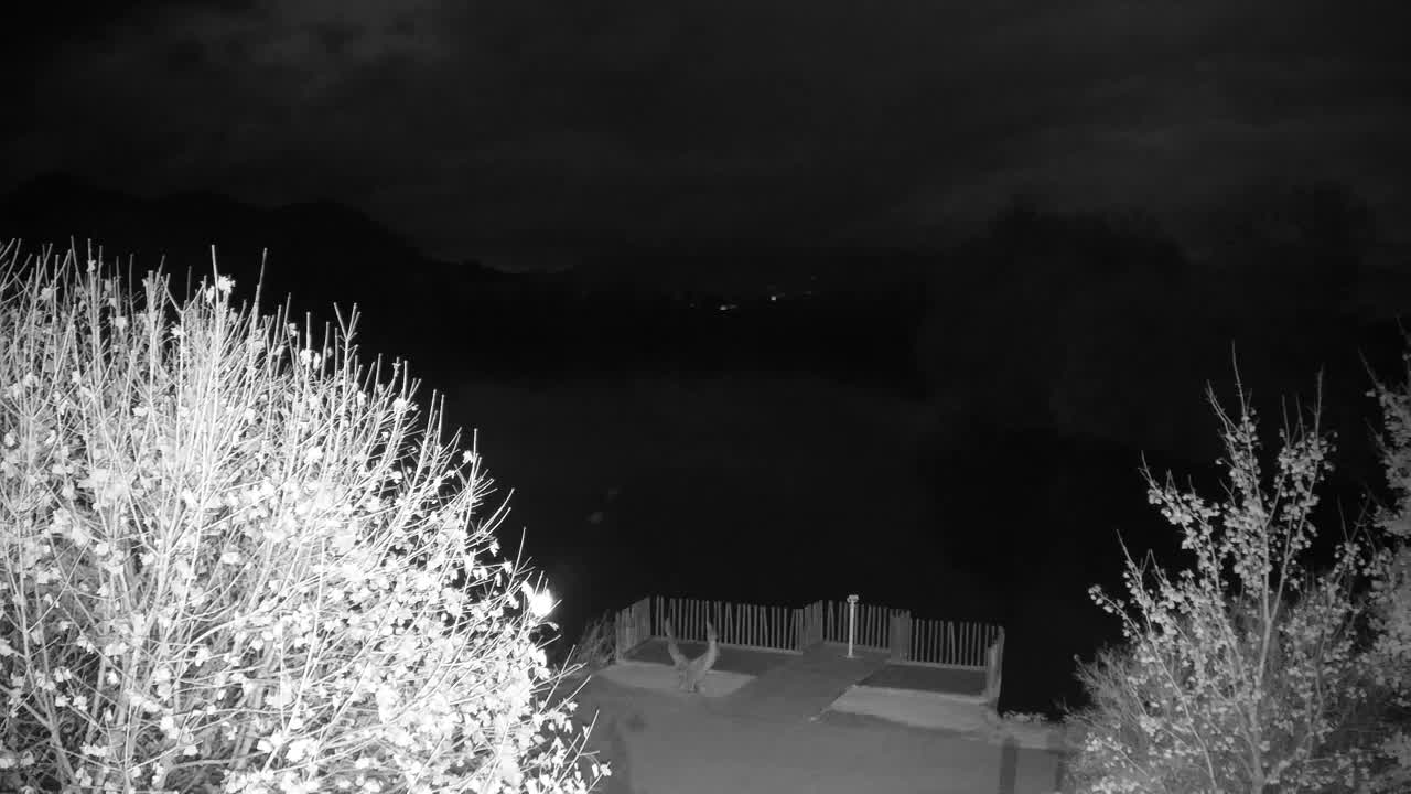 Web kamera Ribnik Vrbje – Žalec