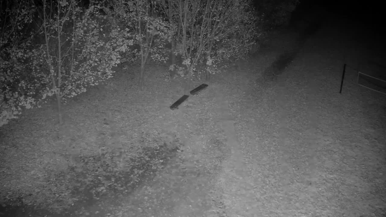 Webcam Ribnik Vrbje – Žalec