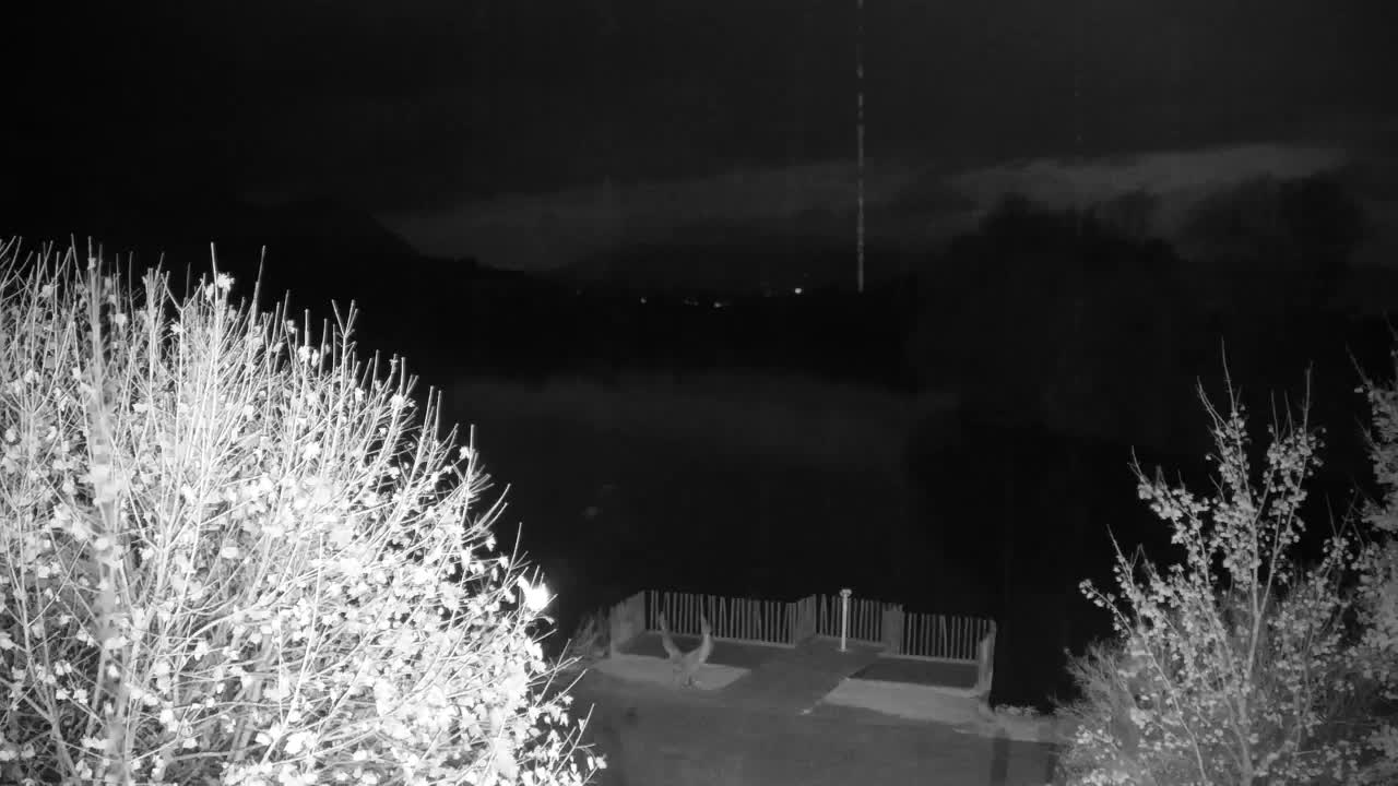 Webcam Ribnik Vrbje – Žalec