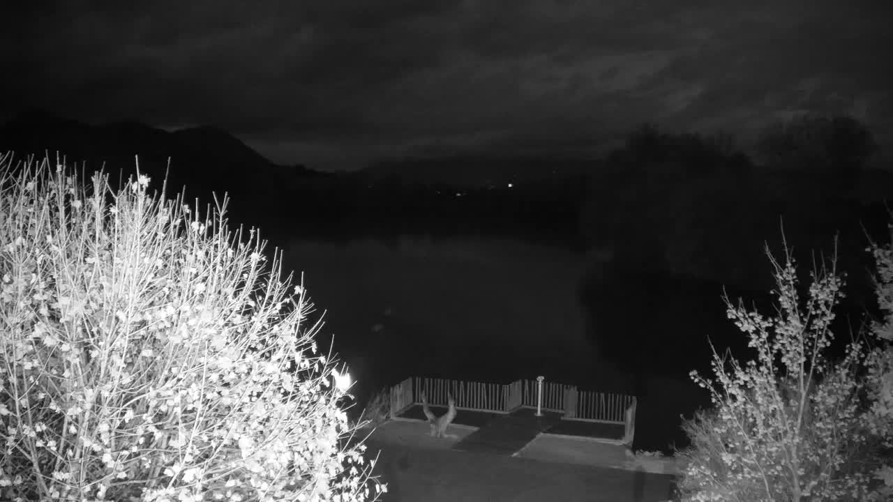 Web kamera Ribnik Vrbje – Žalec