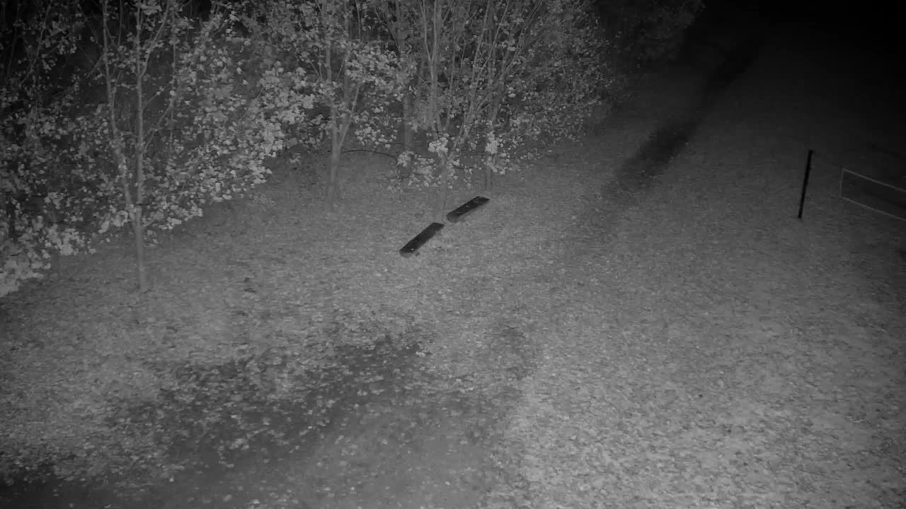 Webcam Ribnik Vrbje – Žalec