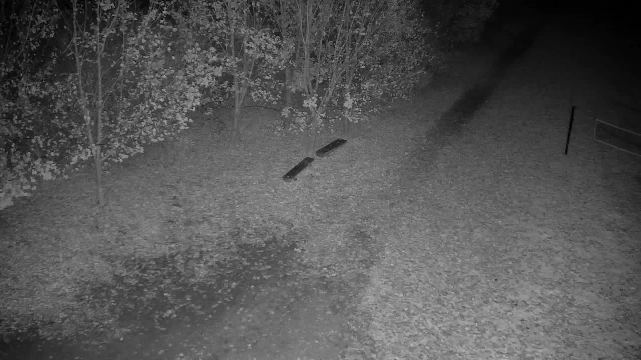 Webcam Ribnik Vrbje – Žalec