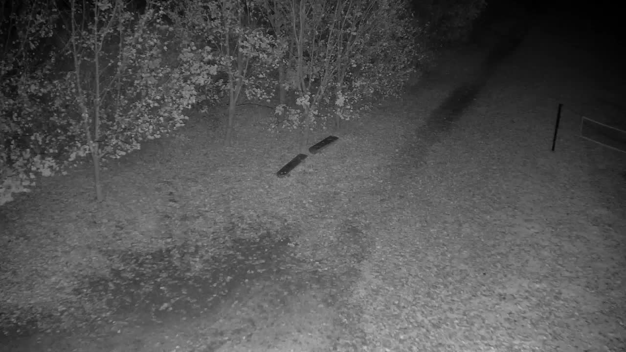 Web kamera Ribnik Vrbje – Žalec