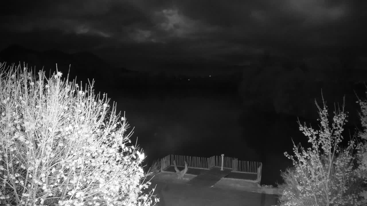 Web kamera Ribnik Vrbje – Žalec