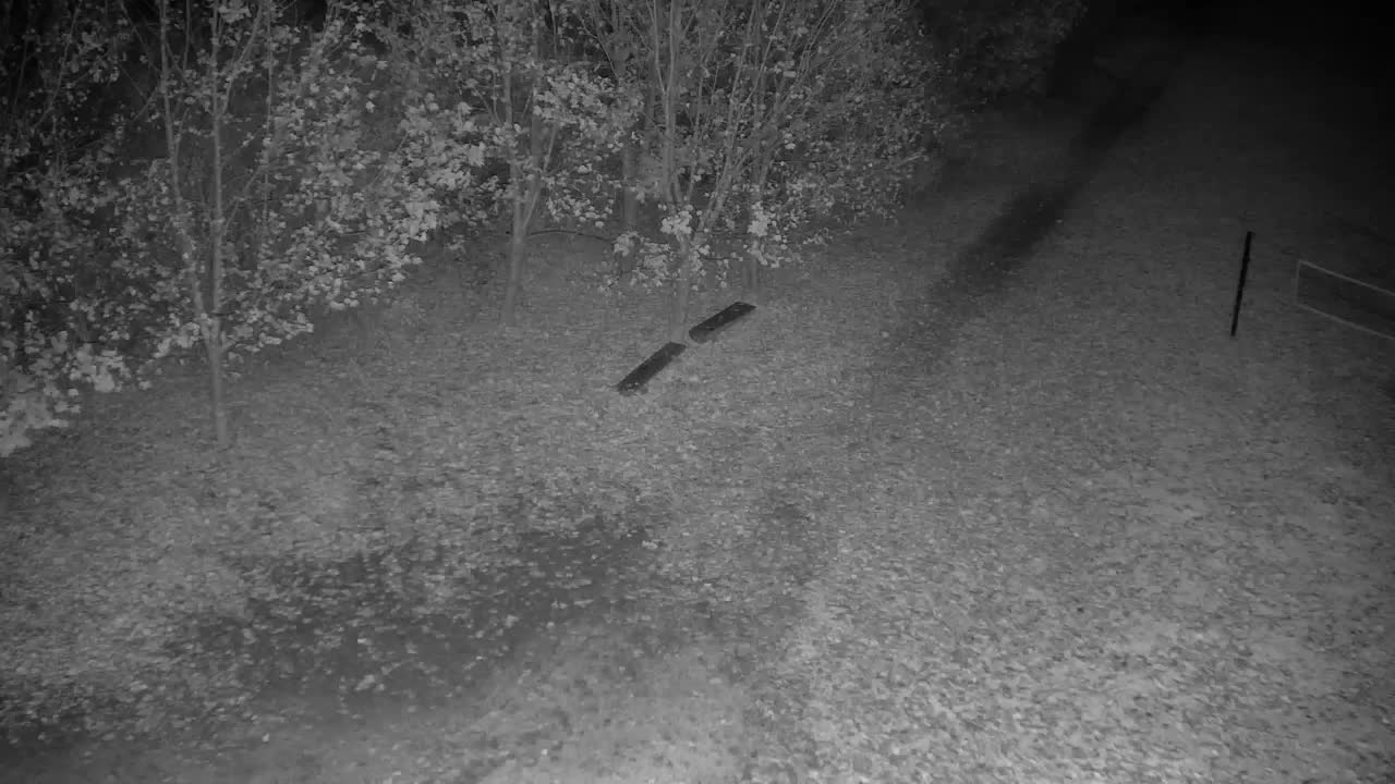 Webcam Ribnik Vrbje – Žalec