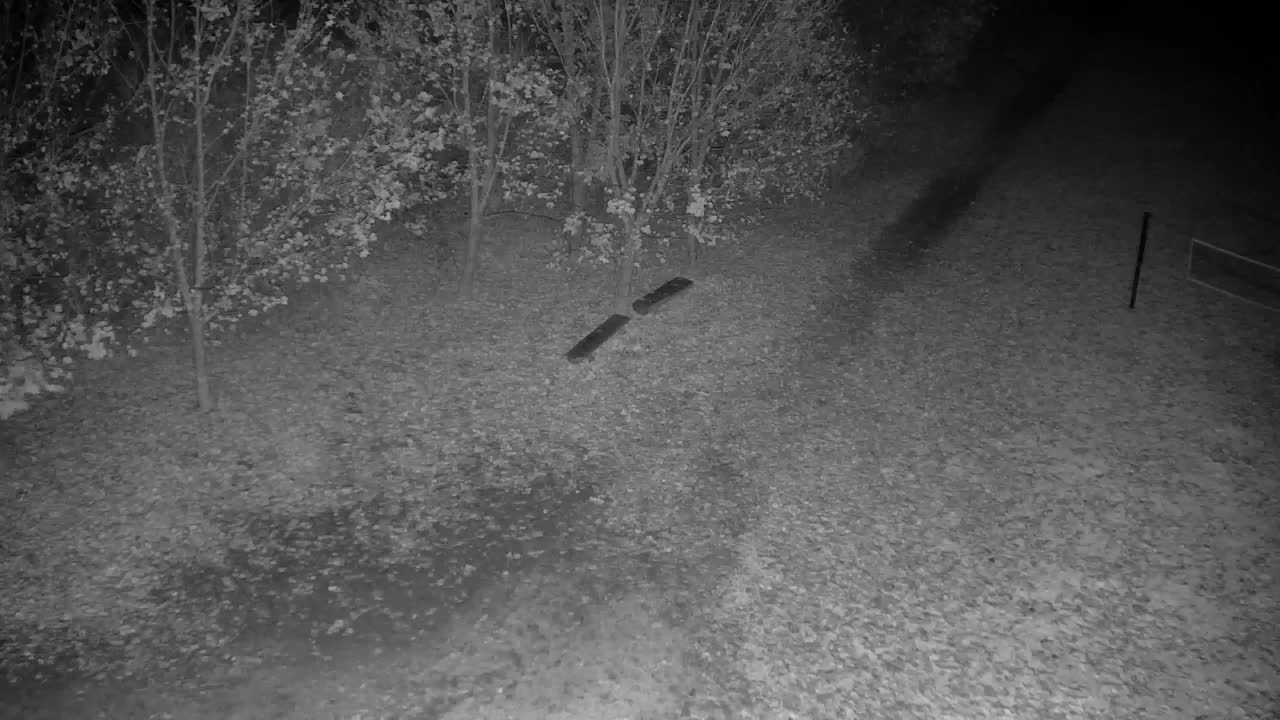 Webcam Ribnik Vrbje – Žalec