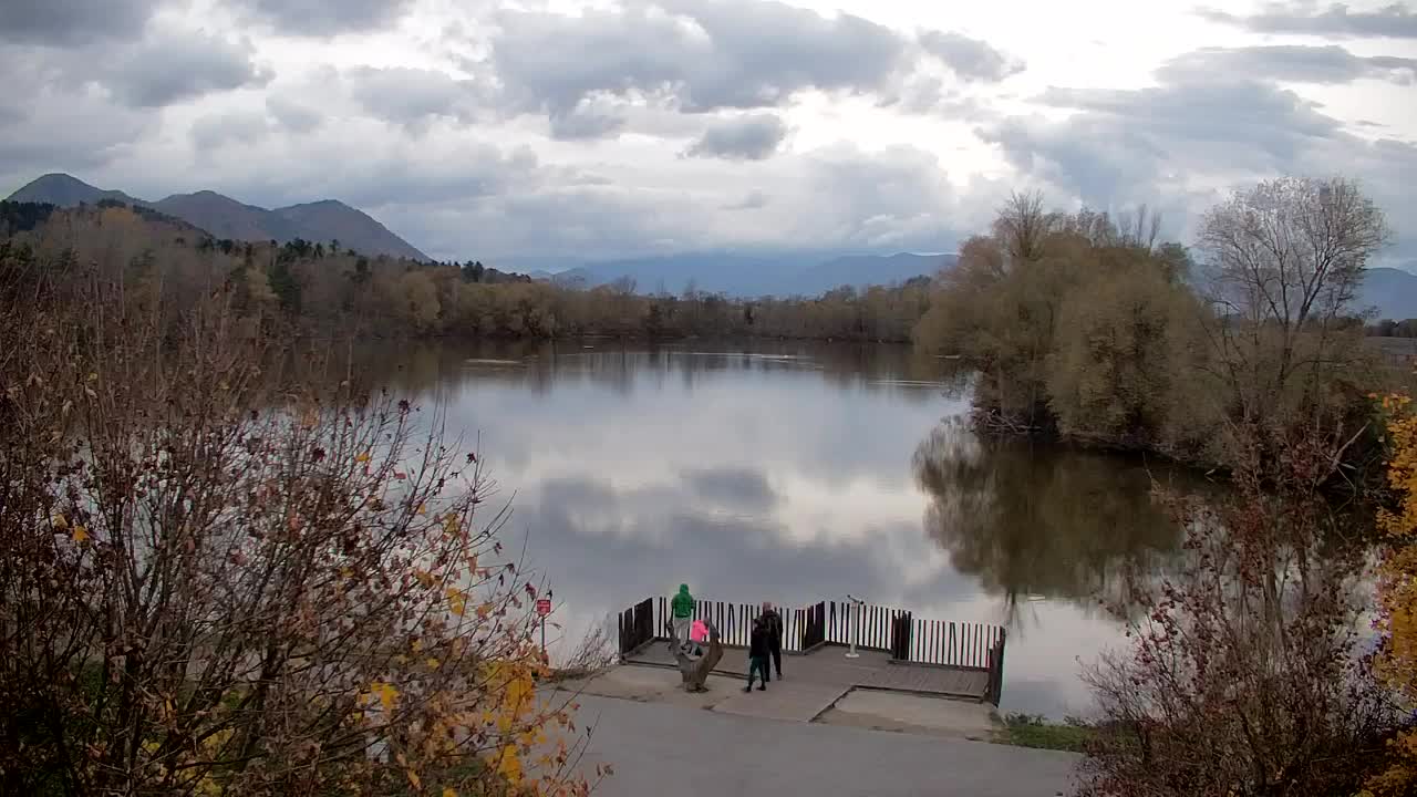 Webcam Ribnik Vrbje – Žalec