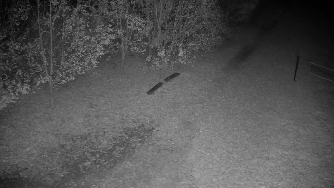 Webcam Ribnik Vrbje – Žalec