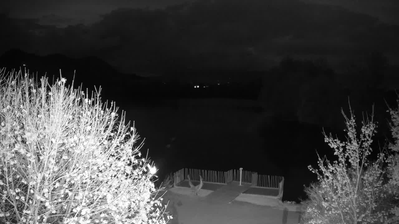 Web kamera Ribnik Vrbje – Žalec