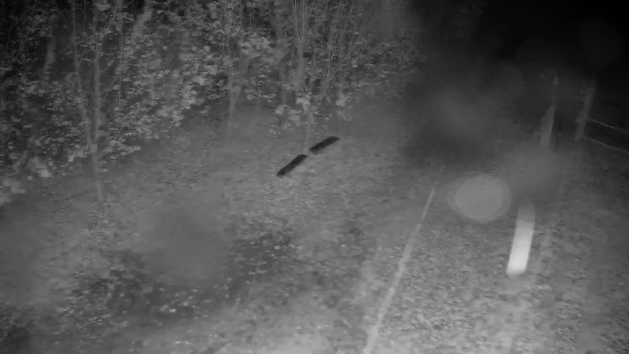 Spletna kamera Ribnik Vrbje – Žalec