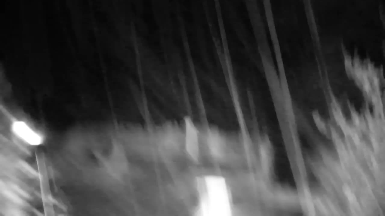 Spletna kamera Ribnik Vrbje – Žalec