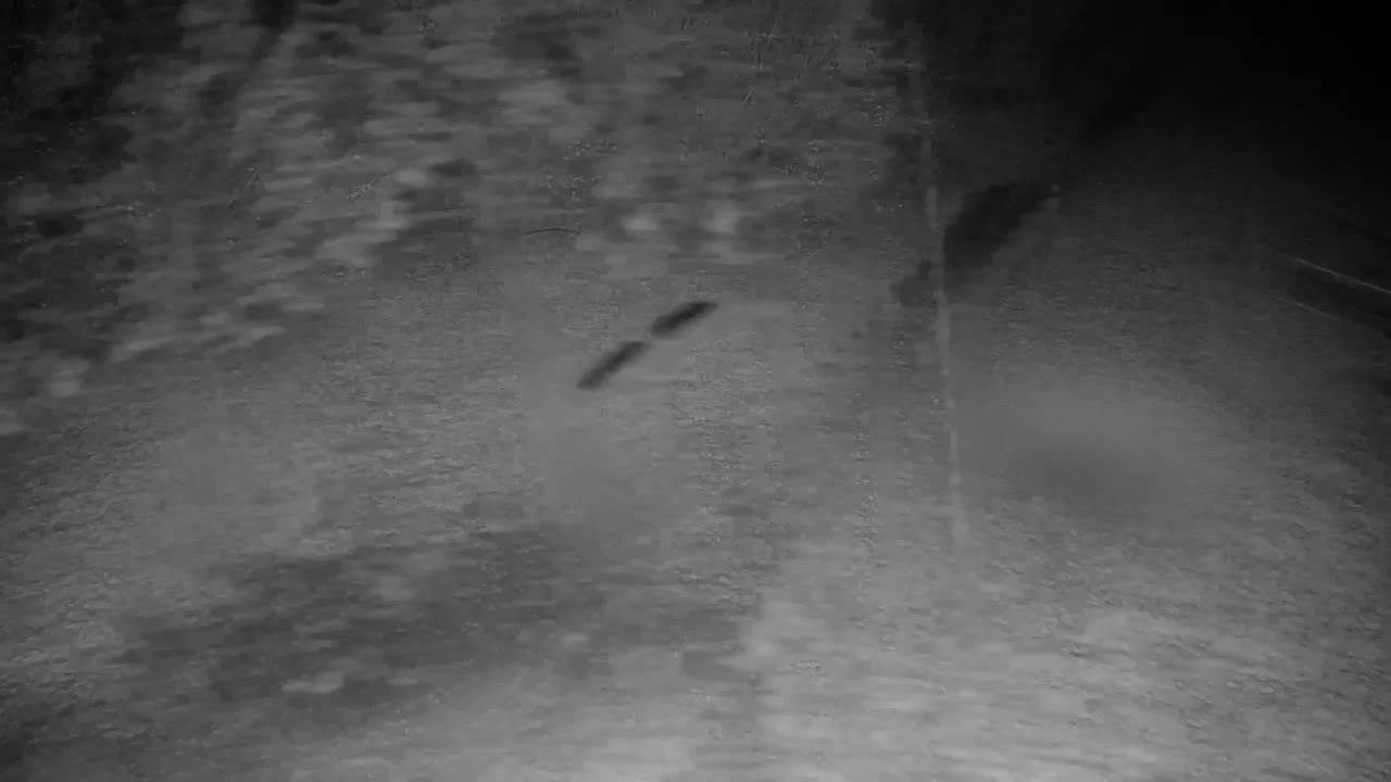 Webcam Ribnik Vrbje – Žalec