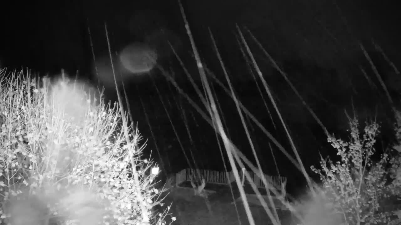 Web kamera Ribnik Vrbje – Žalec