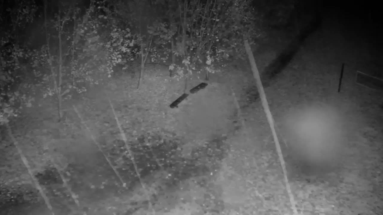 Webcam Ribnik Vrbje – Žalec