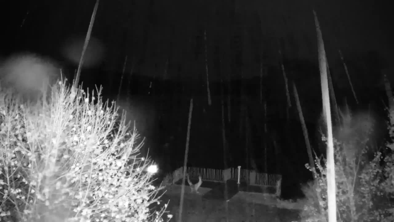 Webcam Ribnik Vrbje – Žalec